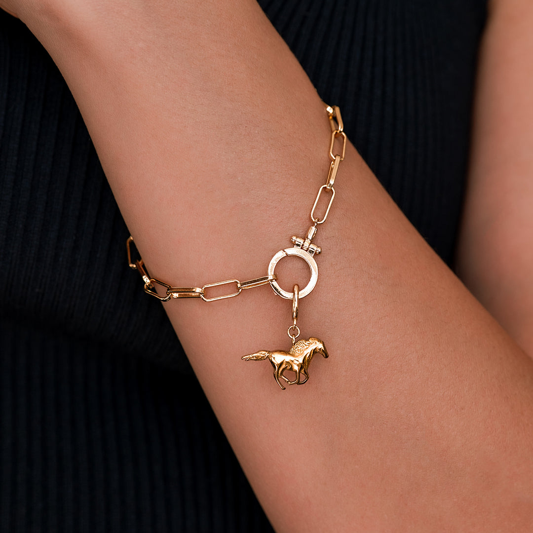 Charm de caballo
