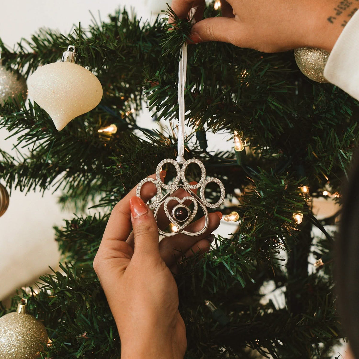 PA personalizzato per ornamento fotografico