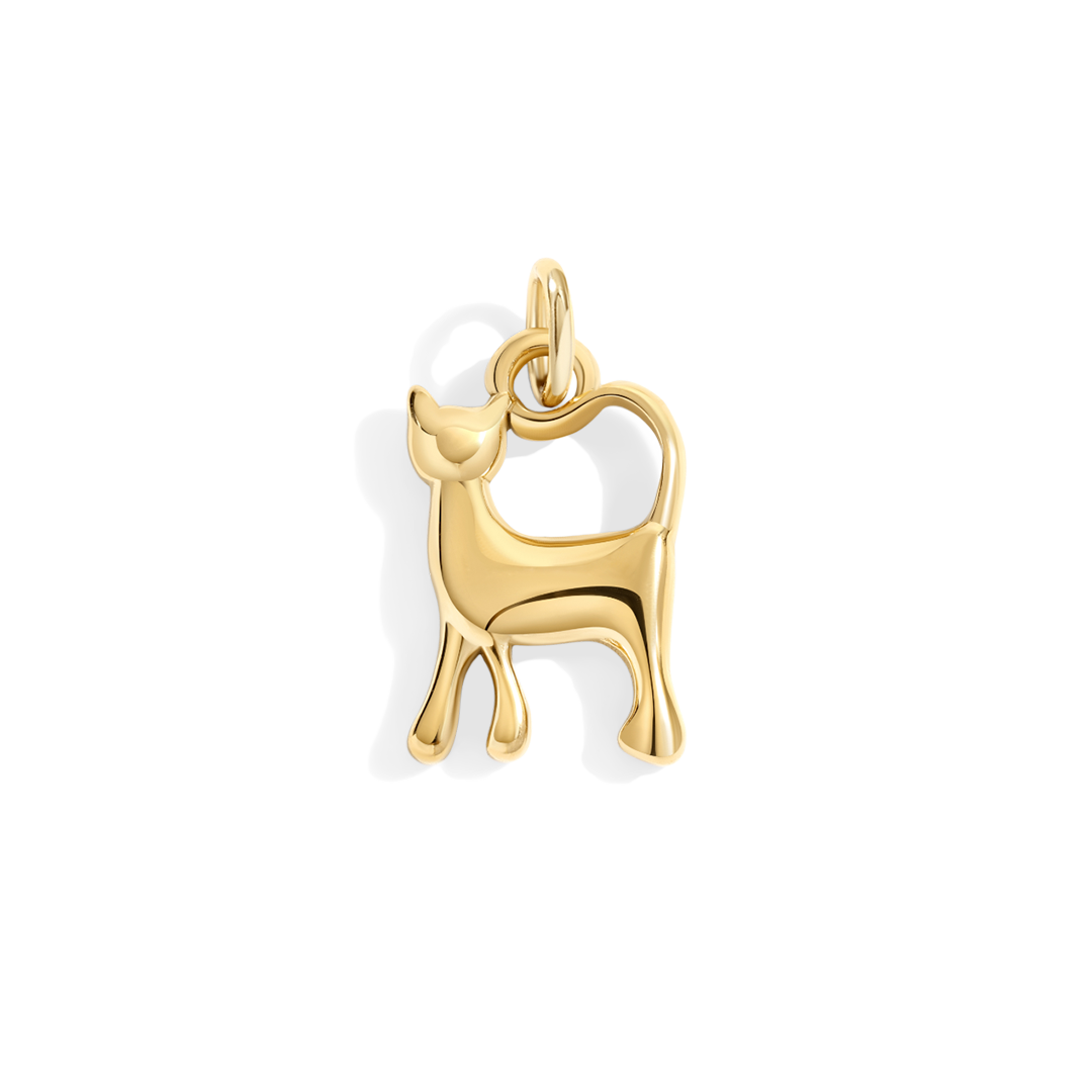 Charm de gato
