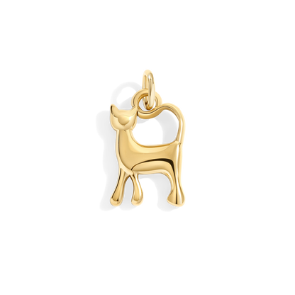 Charm de gato