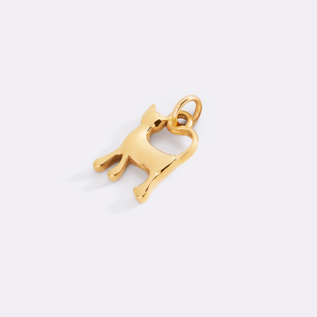 Charm de gato