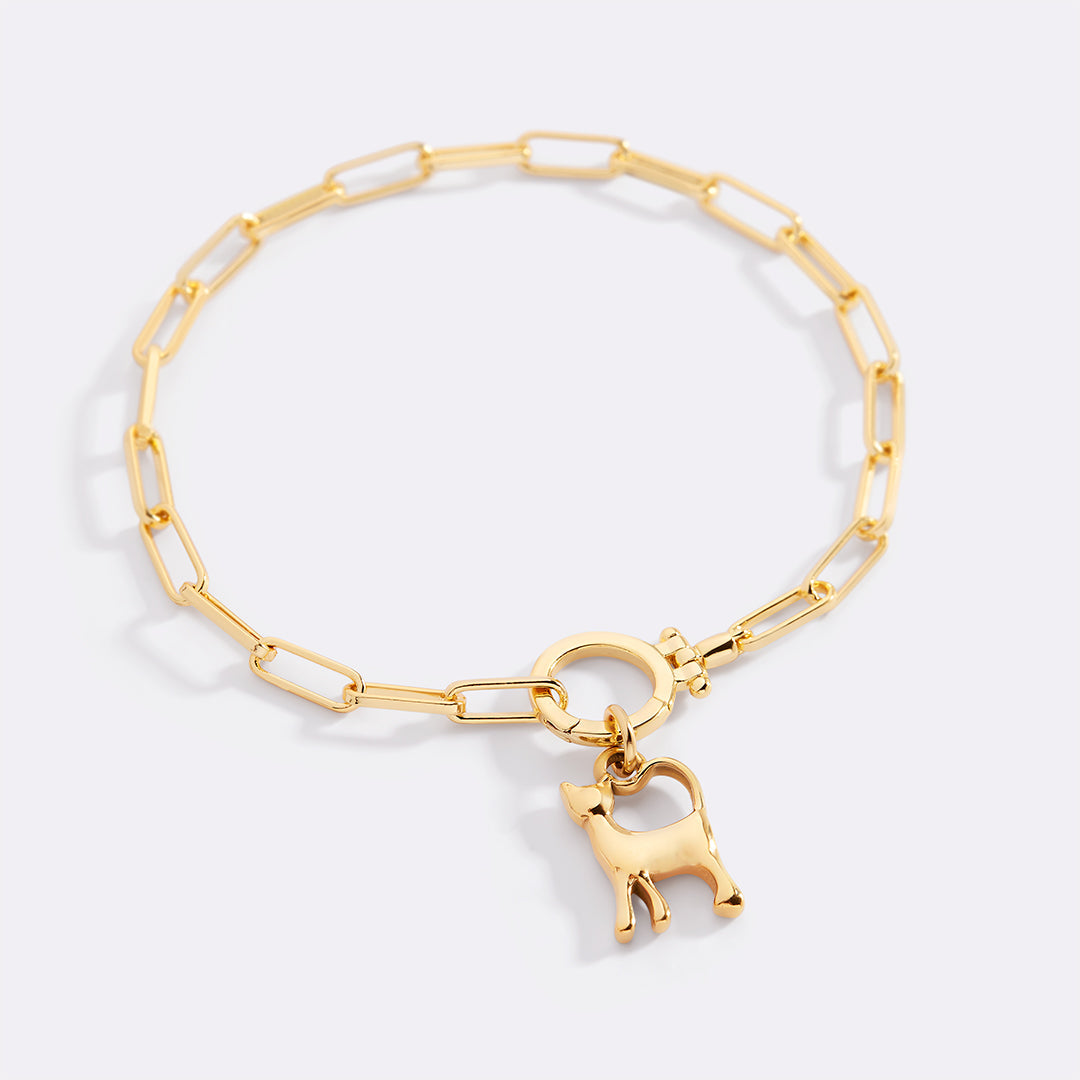 Charm de gato