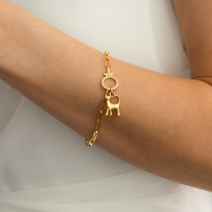 Charm de gato
