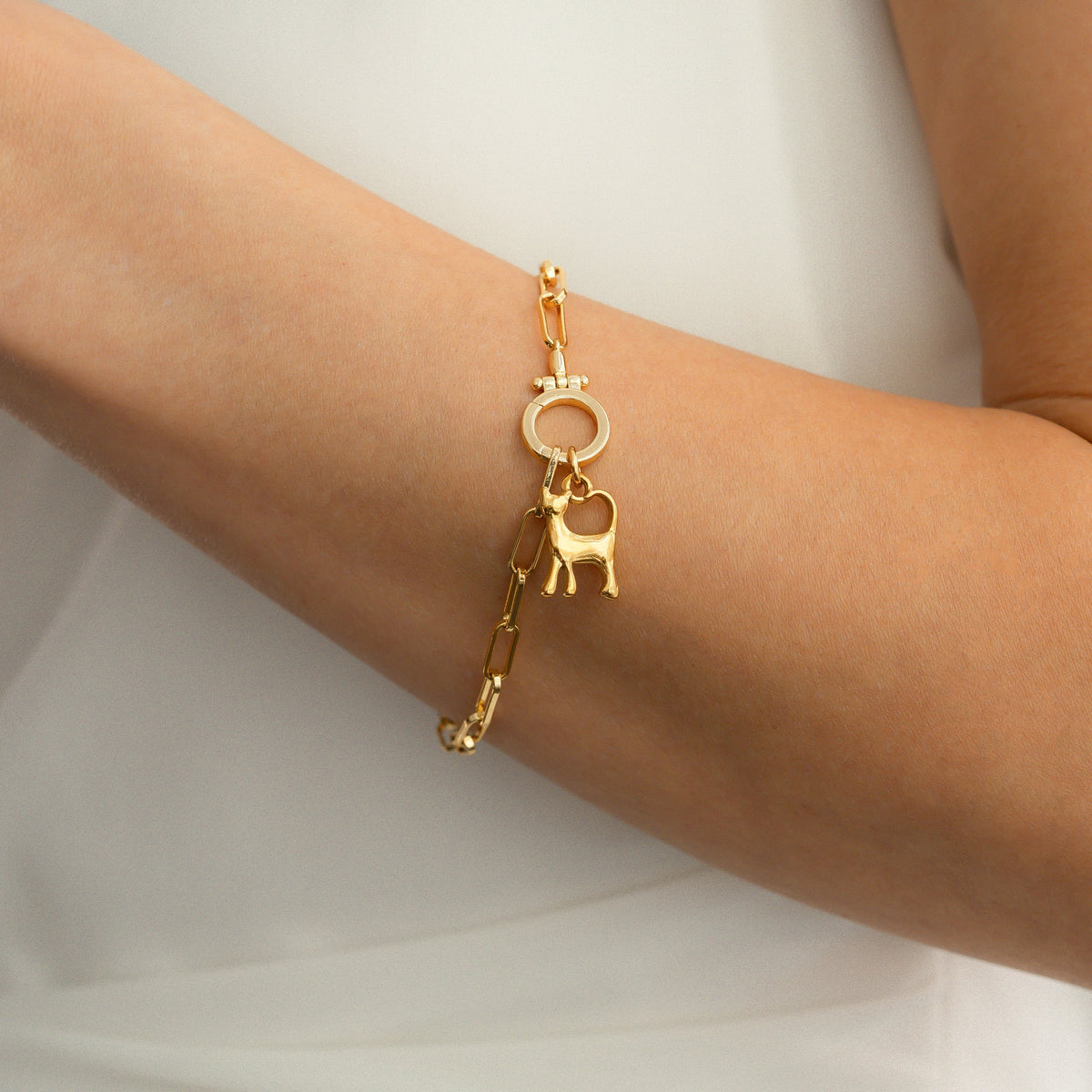 Charm de gato