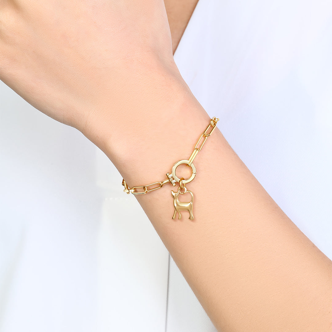 Charm de gato