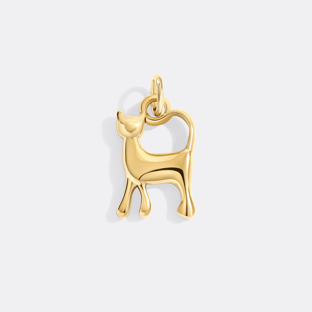 Charm de gato
