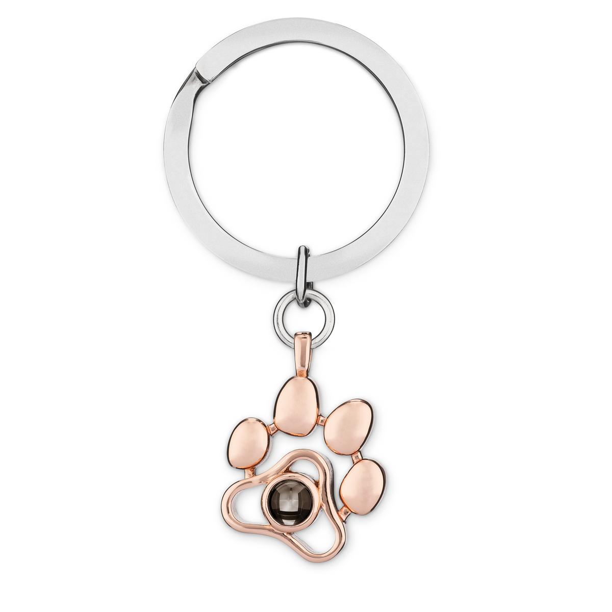 Collar personalizado con foto de mascota
